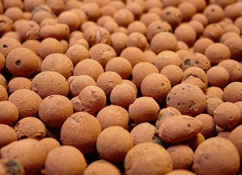 Hydroton clay pebbles growing - hydroton,
